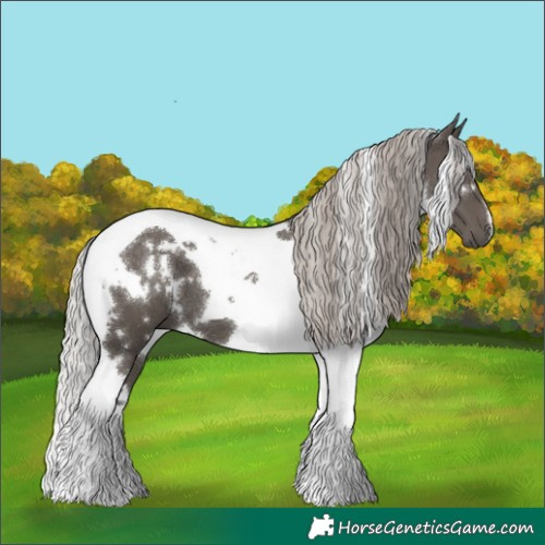 Horse Color:White Spotted Silver Black Tobiano 
