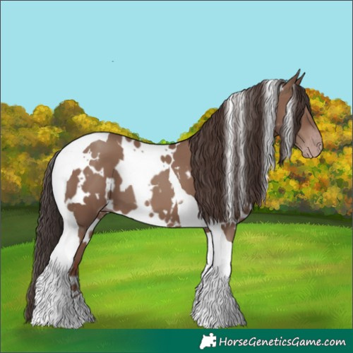 Horse Color:White Spotted Classic Champagne Tobiano