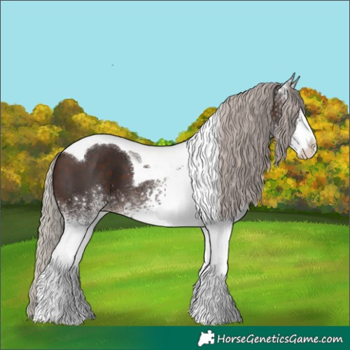 Horse Color:White Spotted Silver Brown Tobiano 