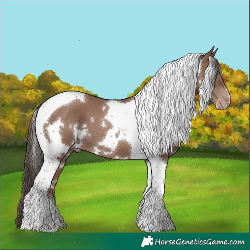 Horse Color:White Spotted Classic Champagne Tobiano