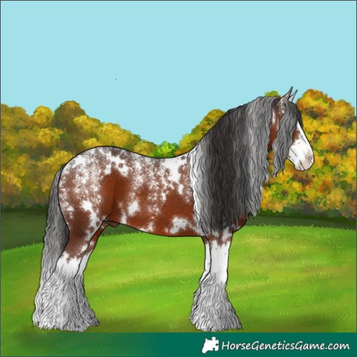Horse Color:Powder White White Spotted Liver Chestnut Splash