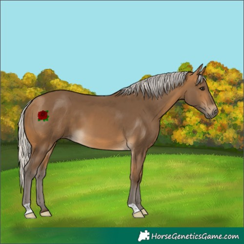 Horse Color:Silver Buckskin 