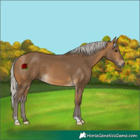 Horse Color:Silver Buckskin