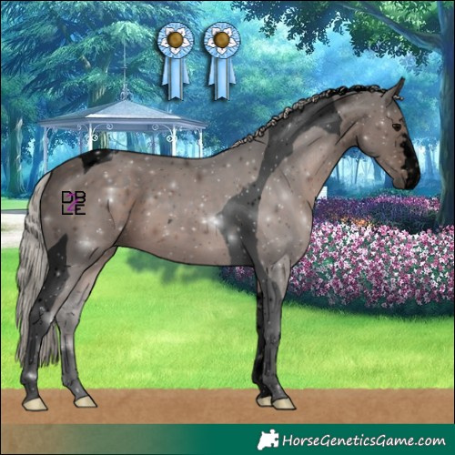 Horse Color:Void Silver Black Tobiano