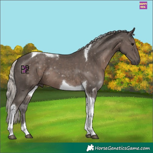 Horse Color:Silver Black Tobiano 