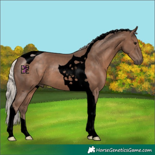 Horse Color:Void Silver Black Tobiano 