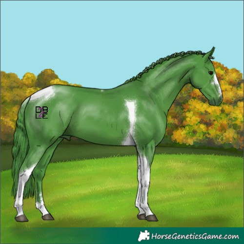 Horse Color:Watercolor Black Tobiano