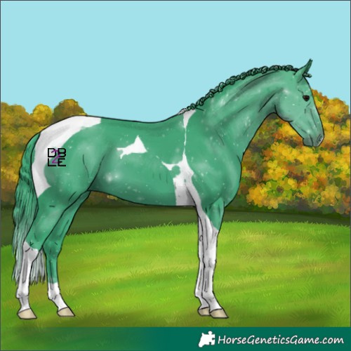 Horse Color:Watercolor Black Tobiano 