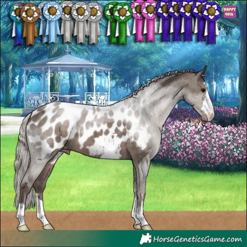 Horse Color:Silver Black Blanket 