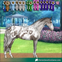 Horse Color:Silver Black Blanket 