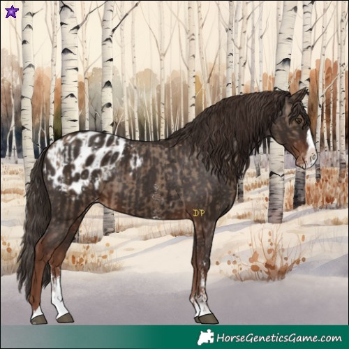 Horse Color:Liver Red Dun Sabino Splash Blanket and Liver Chestnut Sabino Splash Blanket