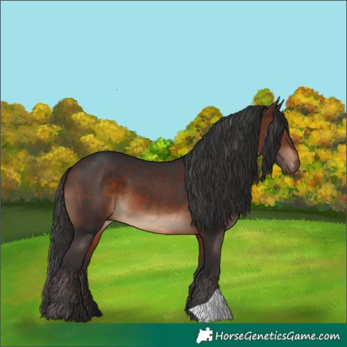 Horse Color:Brown 