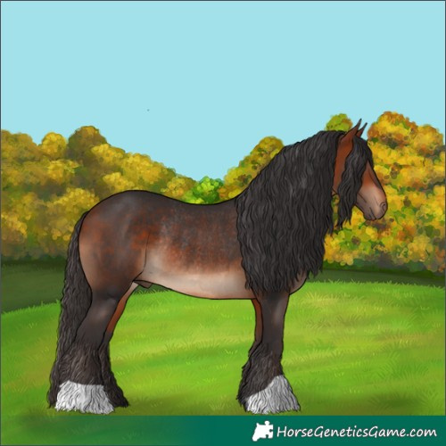 Horse Color:Bay Rabicano