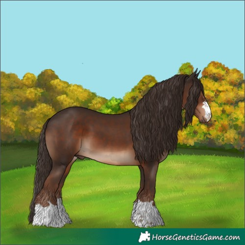 Horse Color:Liver Chestnut 
