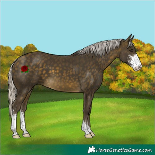 Horse Color:Silver Buckskin Sabino