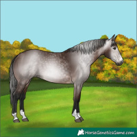 Horse Color:Gray Bay