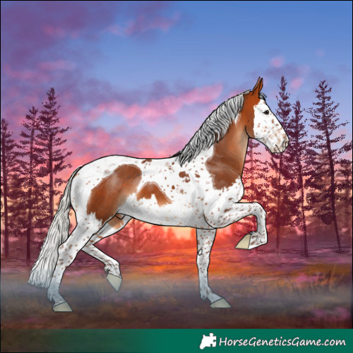 Horse Color:Silver Bay Splash Tobiano