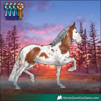 Horse Color:Silver Bay Splash Tobiano 