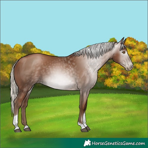 Horse Color:Gray Silver Black Pearl Tobiano