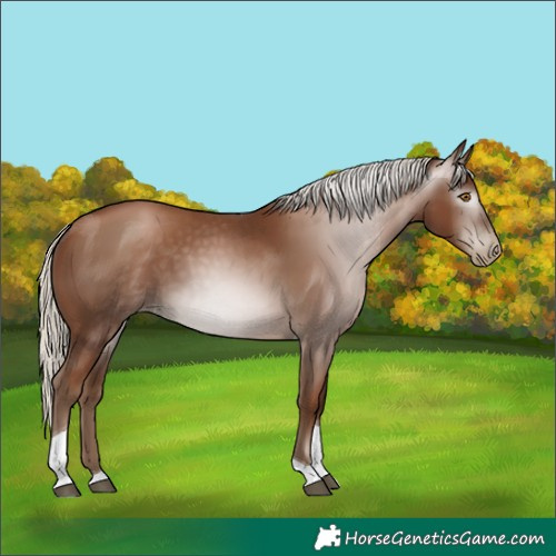 Horse Color:Gray Silver Black Pearl Tobiano 