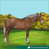 Horse Color:Gray Silver Black Pearl Tobiano 