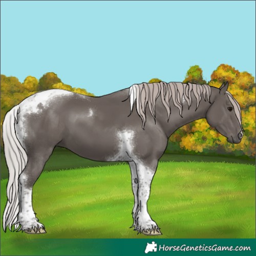 Horse Color:Silver Black Tobiano 