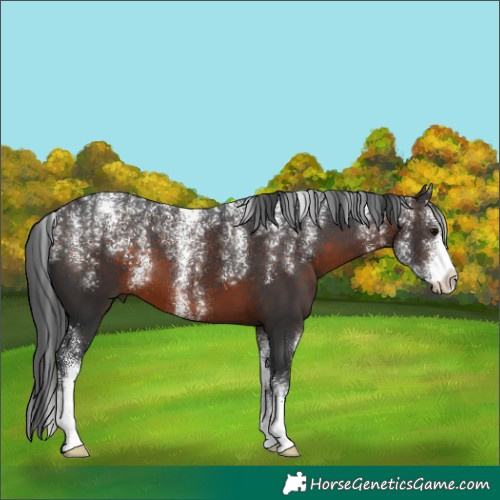 Horse Color:Powder White Brown