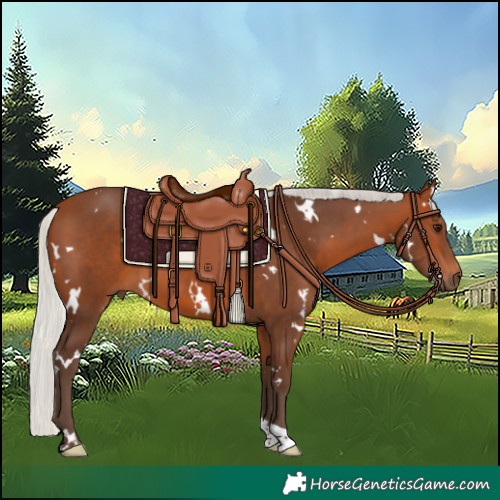 Horse Color:White Spotted Silver Brown