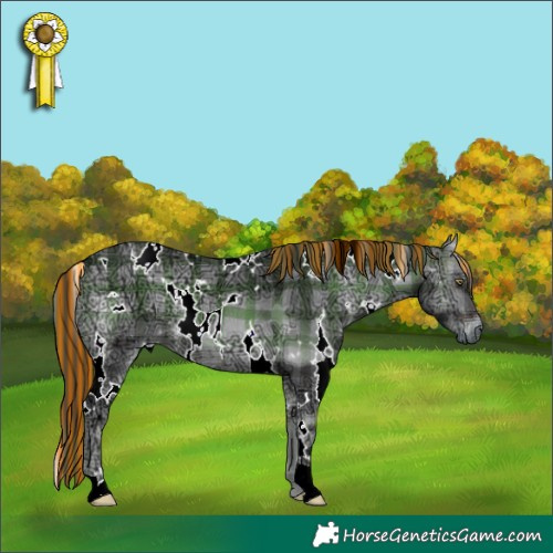 Horse Color:Painted Plaid White Spotted Brown Chinchilla Ice Onyx
