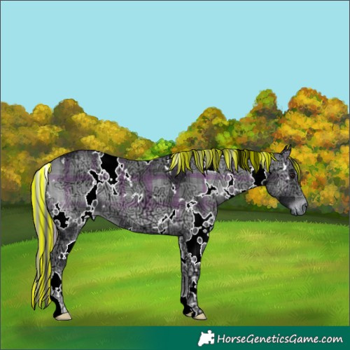 Horse Color:Painted Plaid White Spotted Blue Onyx Chinchilla Ice