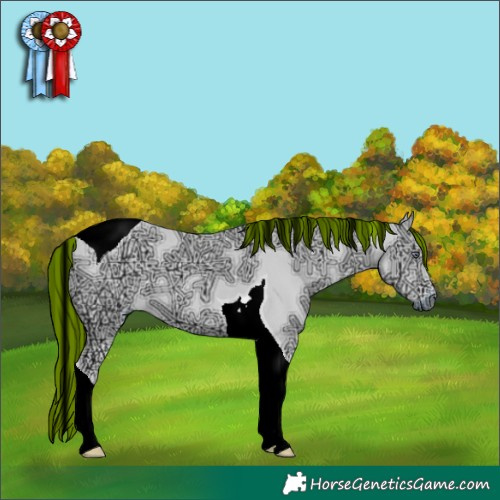 Horse Color:Painted Chocolate Palomino Chinchilla Ice Onyx Tobiano