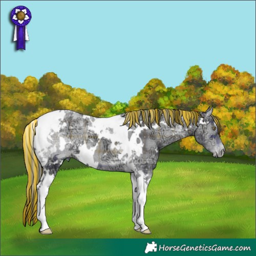 Horse Color:Painted Plaid  White Spotted Bay Chinchilla Ice Onyx Tobiano 