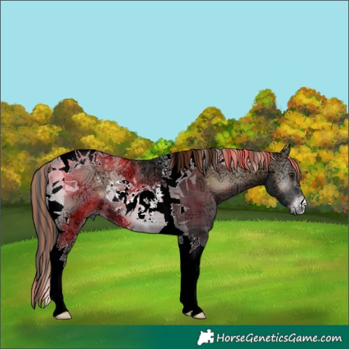 Horse Color:Painted Plaid Liver Red Onyx Ice Tobiano