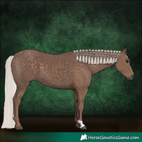 Horse Color:Silver Black
