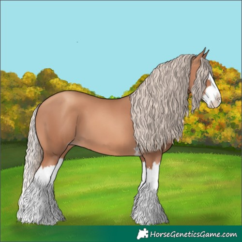 Horse Color:Gold Champagne Splash