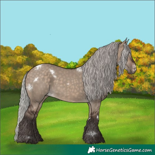Horse Color:White Spotted Silver Brown Dun Rabicano 
