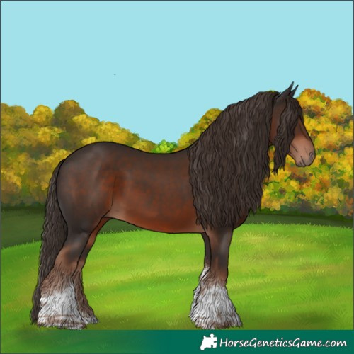 Horse Color:Liver Chestnut Tobiano 