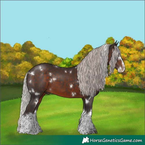 Horse Color:White Spotted Silver Brown Splash 