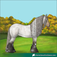 Horse Color:White Spotted Silver Smoky Grullo Roan Rabicano