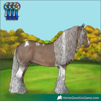 Horse Color:Silver Grullo Tobiano 