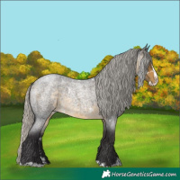 Horse Color:White Spotted Silver Buckskin Roan Splash Rabicano
