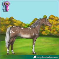 Horse Color:White Spotted Silver Brown Dun Tobiano Appaloosa Rabicano 