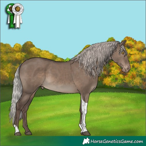 Horse Color:Silver Grullo Tobiano Appaloosa Rabicano 