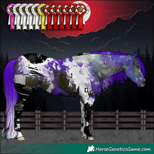 Horse Color:ERROR: UNKNOWN ANOMALY