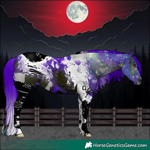 Horse Color:ERROR: UNKNOWN ANOMALY