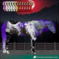 Horse Color:ERROR: UNKNOWN ANOMALY