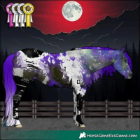 Horse Color:ERROR: UNKNOWN ANOMALY