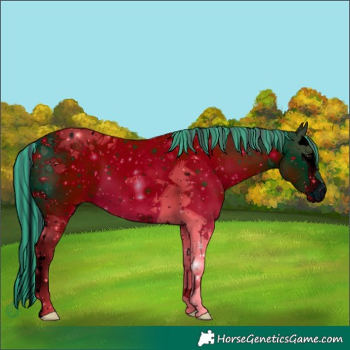 Horse Color:ERROR: UNKNOWN ANOMALY