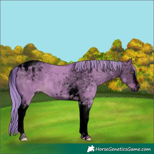 Horse Color:Void Watercolor Liver Red Dun Mushroom Tobiano