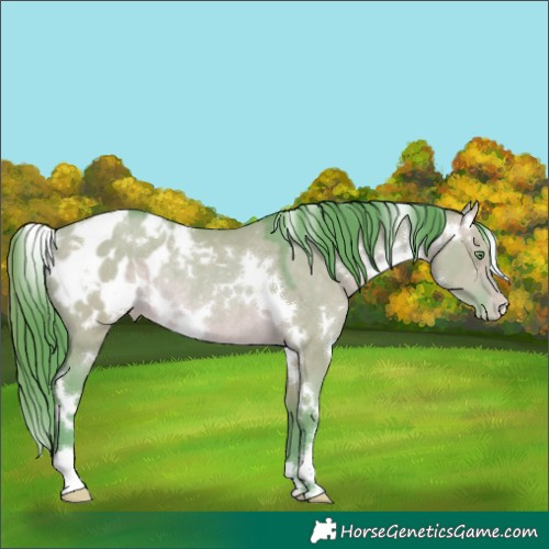 Horse Color:Watercolor White Spotted Sable Champagne Dun Blanket Rabicano 